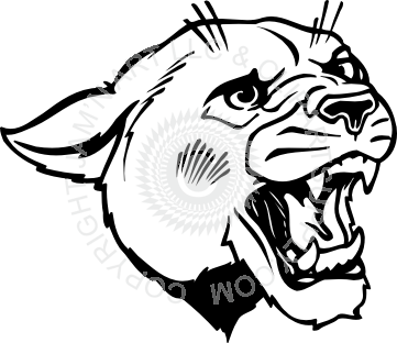 361x312 Drawn Panther Cougar Line