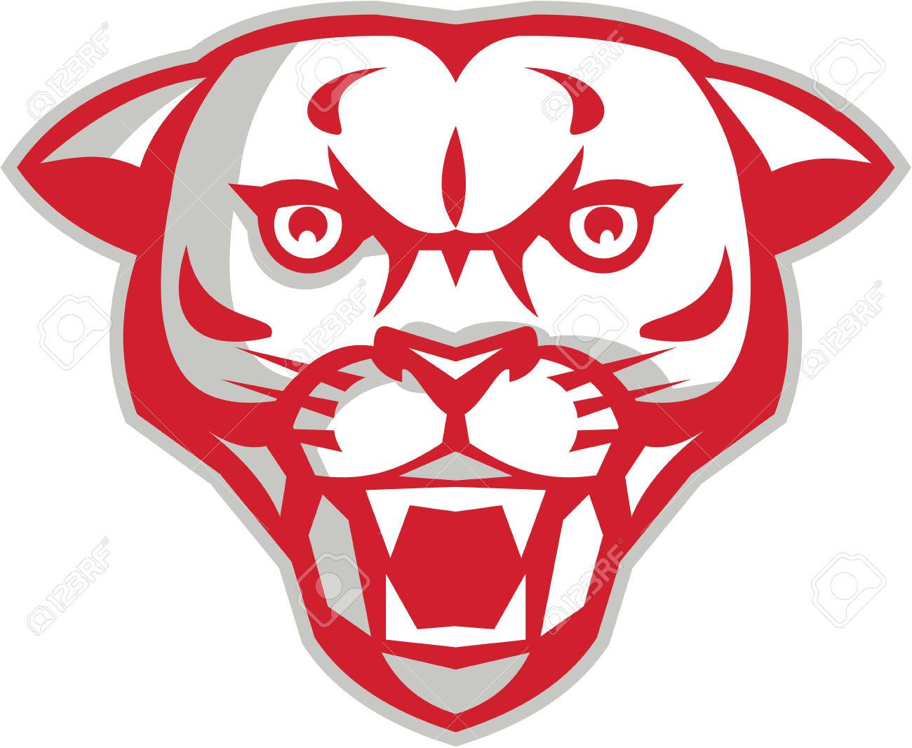 1300x1066 Illustration Of An Angry Cougar Mountain Lion Head Showing Fangs