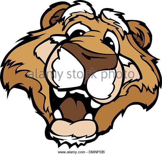 564x540 Cougar Stock Vector Images