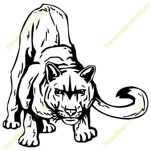 500x500 Cougars Clipart