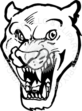 267x361 Panther Head Image