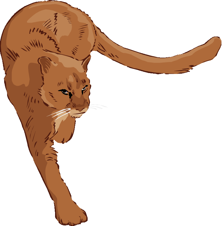 750x761 Free Cougar Clipart