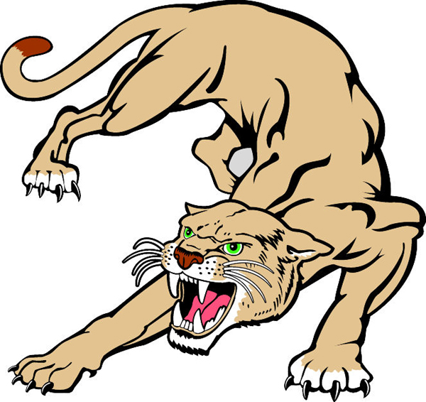 600x566 Cougar Clipart