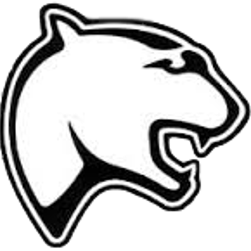 500x500 Sylvania Southview High School