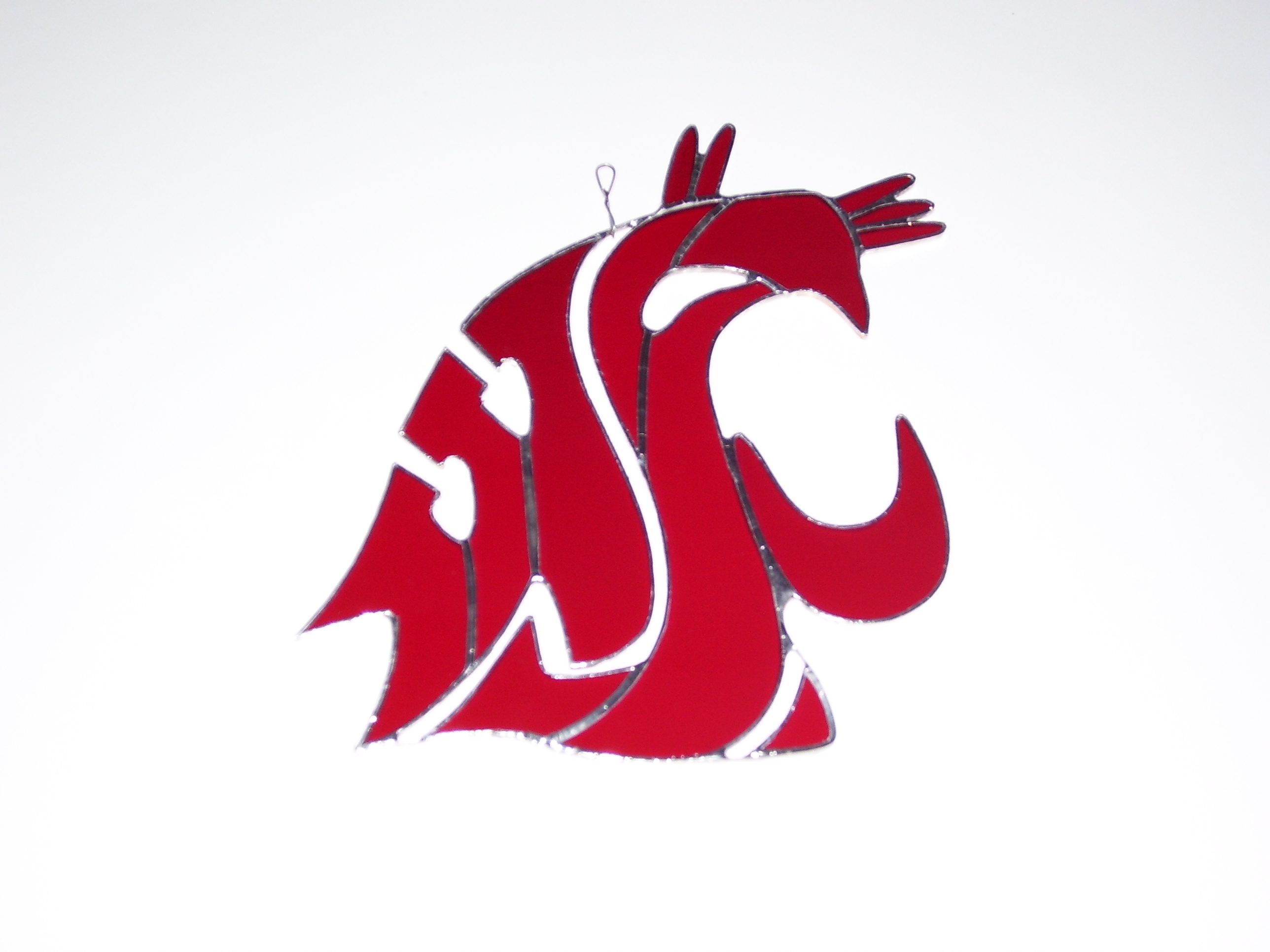 2576x1932 Wsa Cougar Logo
