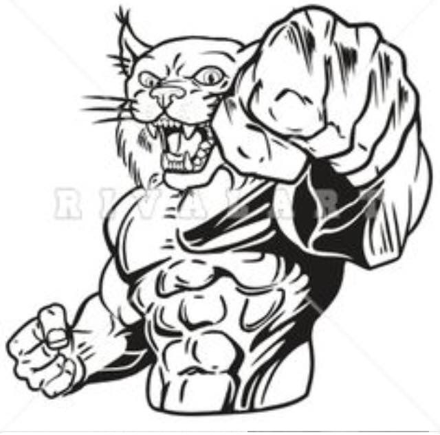 640x633 14 Best Cougar Clip Art Images Pictures, Cutting