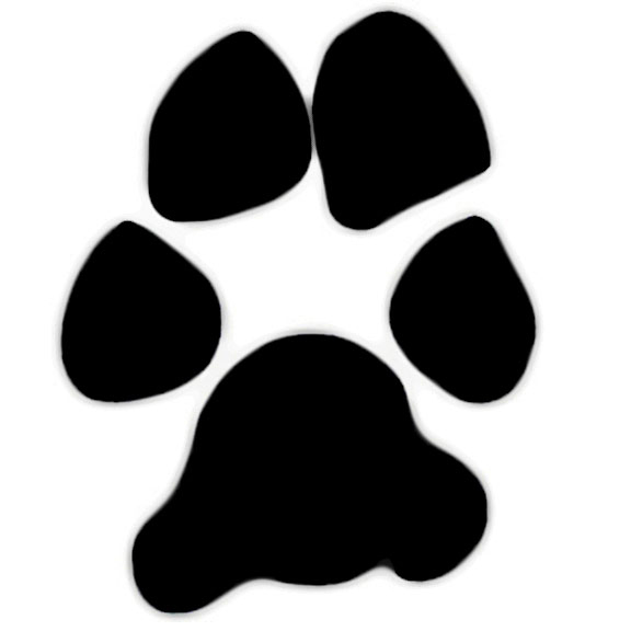 576x576 Bobcat Paw Print Clip Art Clipart 2