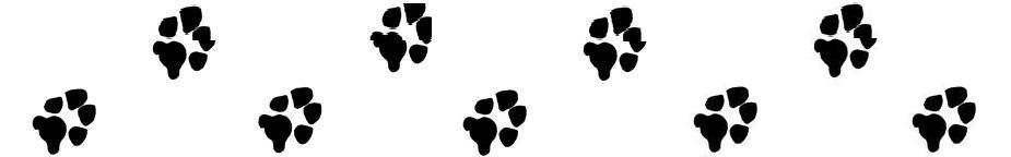 925x144 Paw Prints Cougar Paw Print Clip Art Clipart