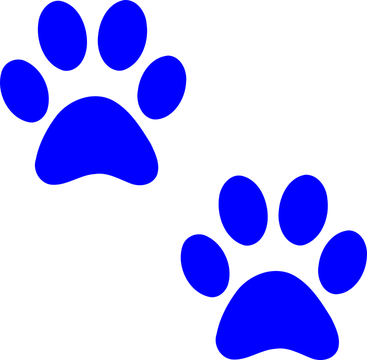 734x720 Dog Paw Prints Panther Paw Print Clip Art Clipart Locker