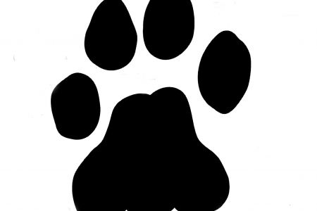 450x300 Graphics For Graphics Of Lions Paws