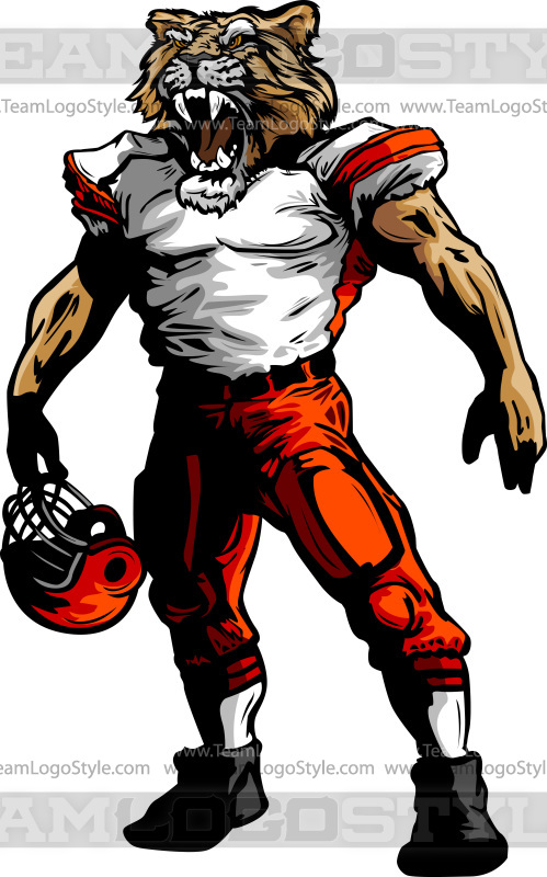 499x800 Cougar Football Art