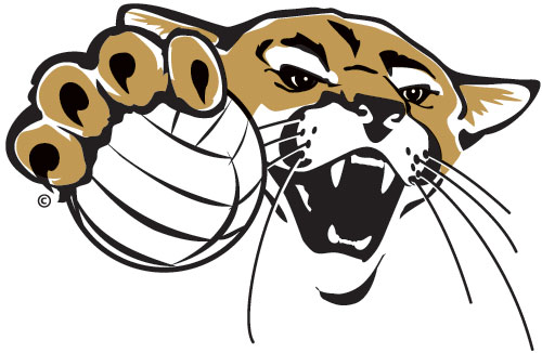 500x326 Cougar Volleyball Falters Late In 3 1 Loss