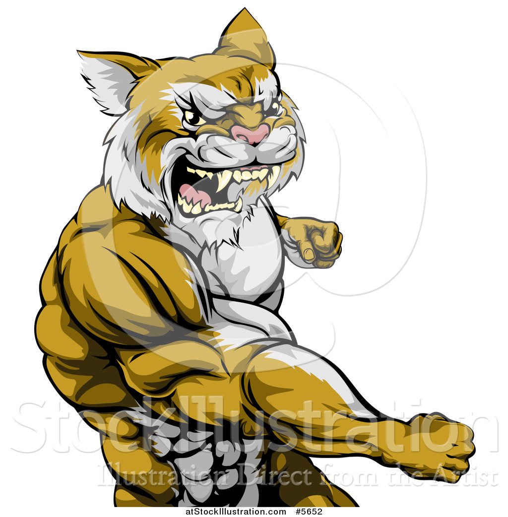 1024x1044 Vector Illustration Of A Punching Muscular Cougar Man Mascot By