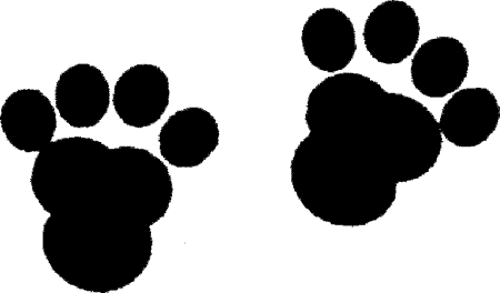 450x264 Mascot Library