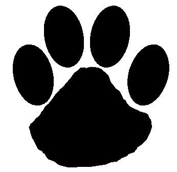 346x336 Wildcat Clipart Cougar