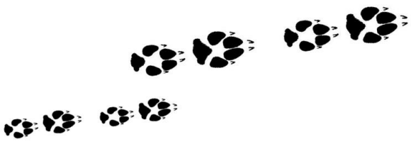 580x201 Yahweh's Children