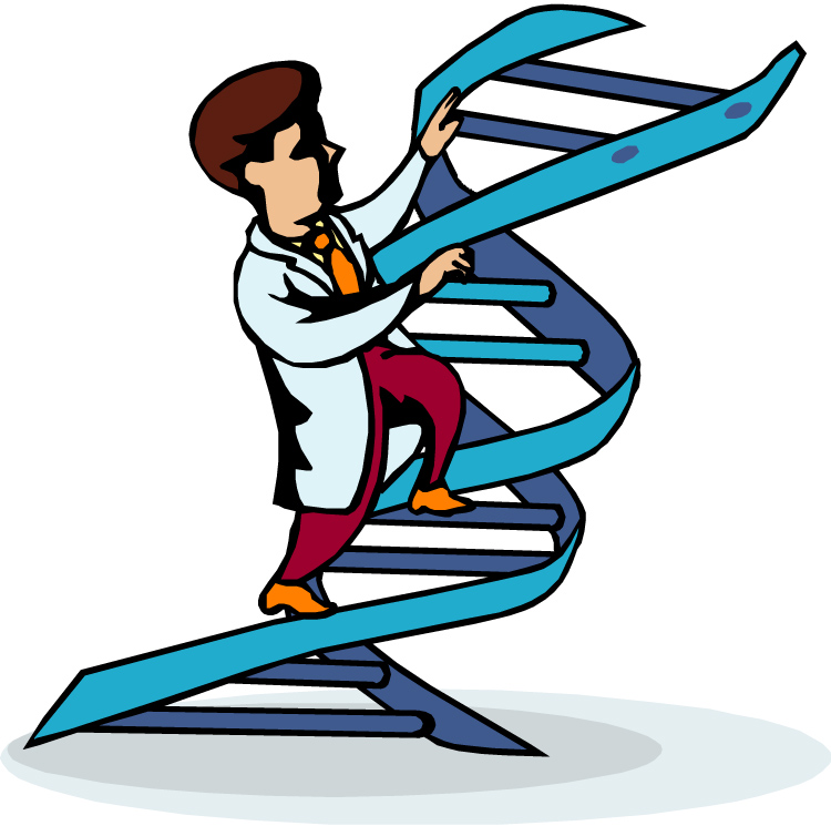 750x745 Dna Clipart The Cliparts 4