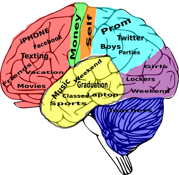 600x585 Brain Clipart School Counselling