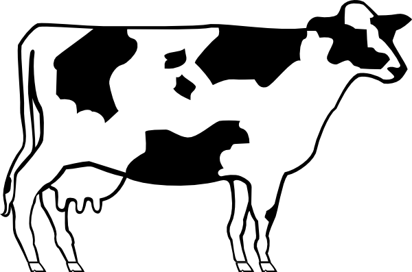 600x397 Cow Clipart Easy