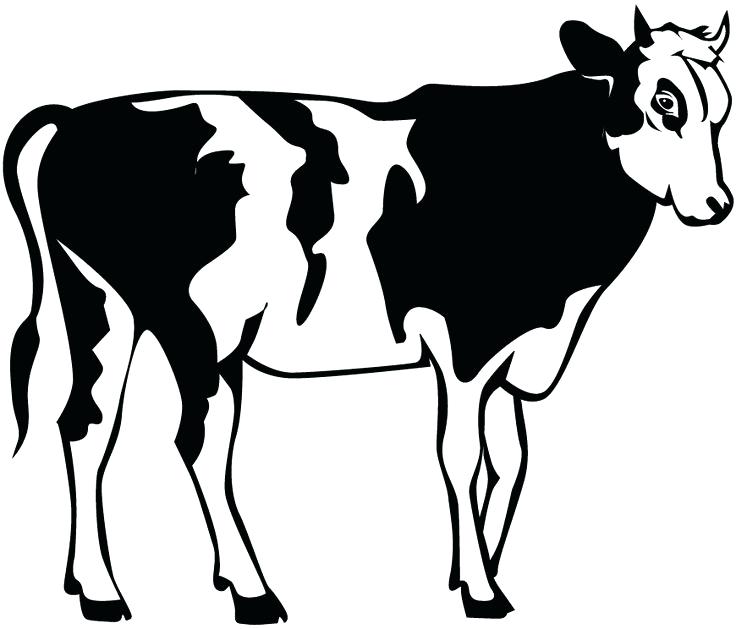 736x629 Cow Clipart Pin Cow Stencil 1 Clipart Bible Woman Memocards.co