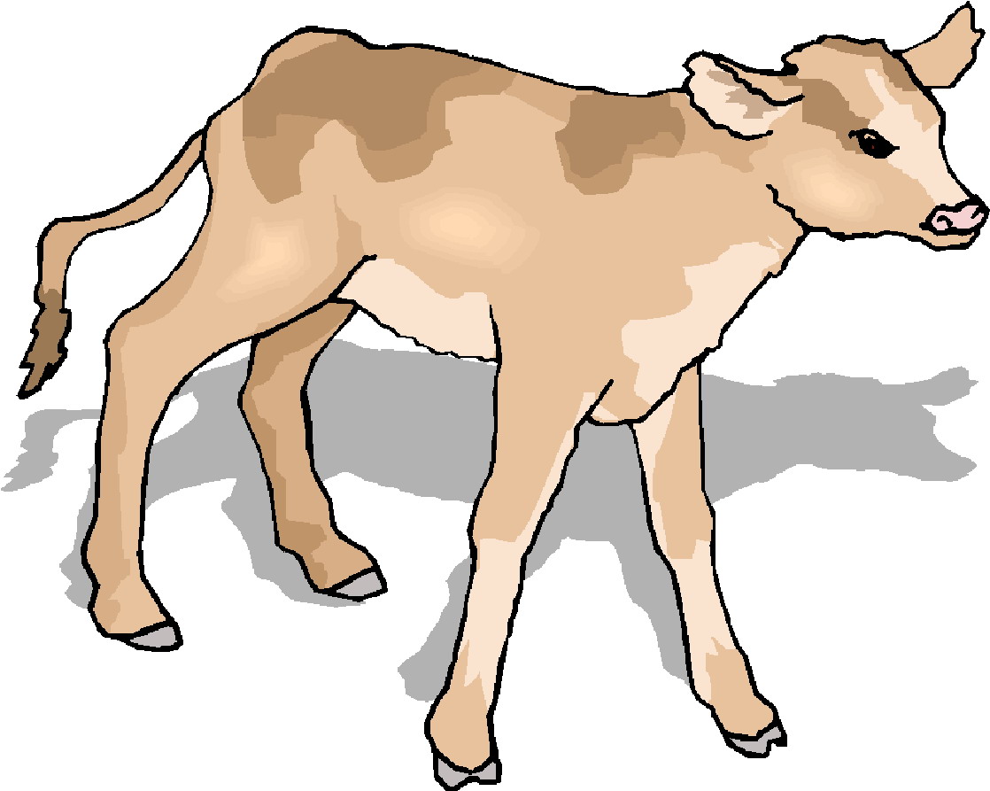 Cow Clipart Black And White
