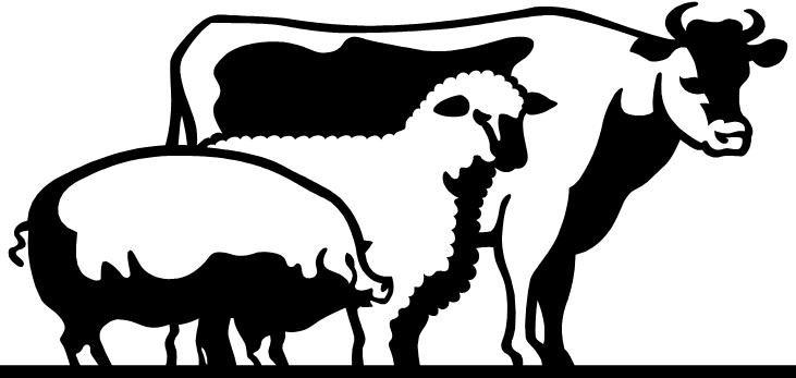 731x347 Top 65 Cattle Clipart