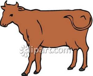 300x247 Brown Clipart Brown Cow
