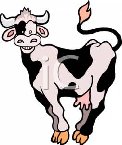 253x300 Holstein Cow Clipart, Explore Pictures