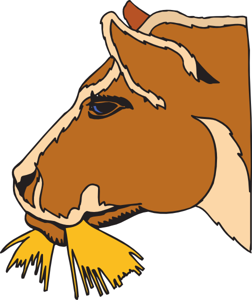 504x600 Cow Eating Hay Clip Art