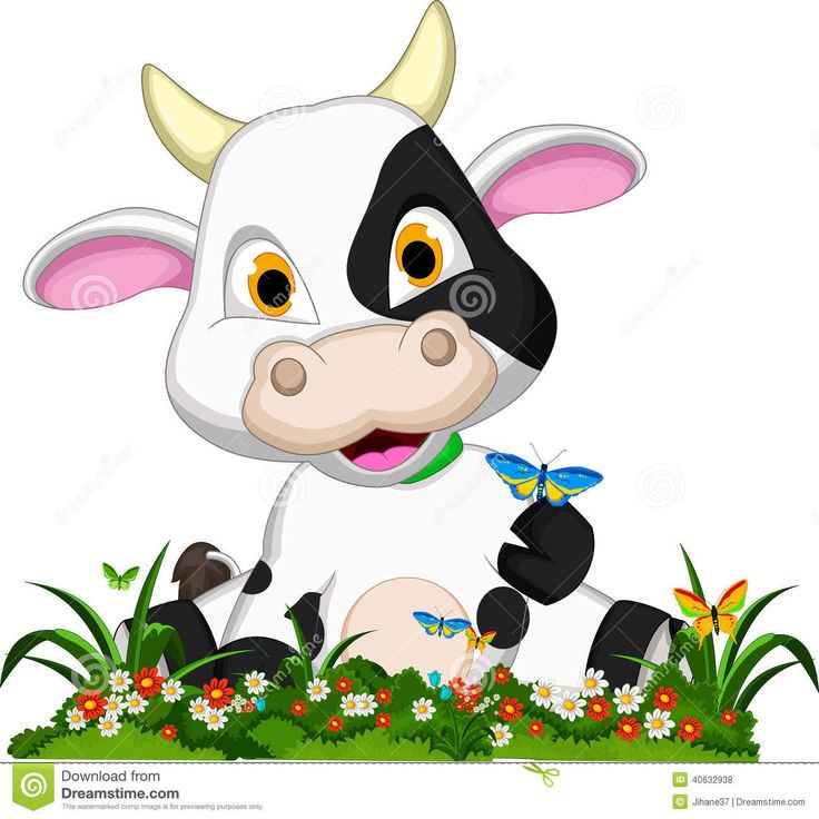 736x736 54 Best Cows Images Baby Nerd, Cute Kids