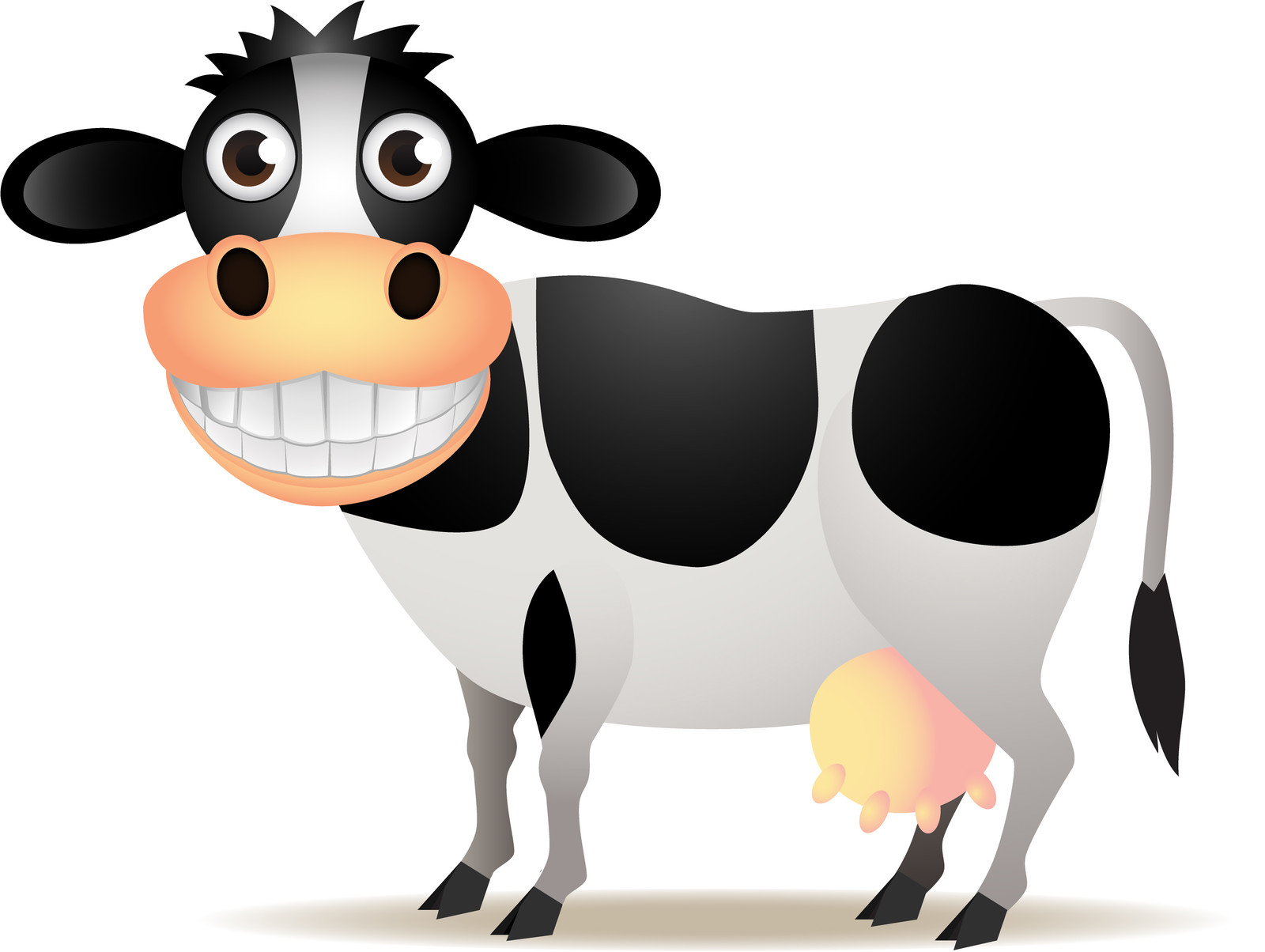 1600x1204 Funny Cow Clipart