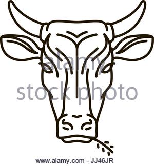 300x324 Cow Face Animal Outline Stock Vector Art Amp Illustration, Vector