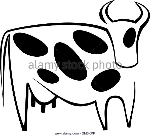 596x540 Beef Cow Black And White Stock Photos Amp Images