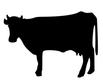 340x270 Cow Decal Etsy