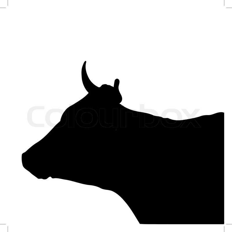800x800 Black Silhouette Of The Head Of A Cow Stock Vector Colourbox