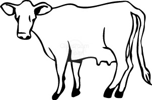302x198 Cow Clipart Clear Background
