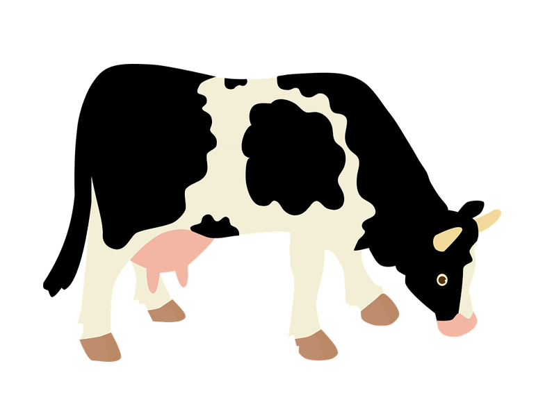 784x589 Dairy Cow Transparent Background Farm Image