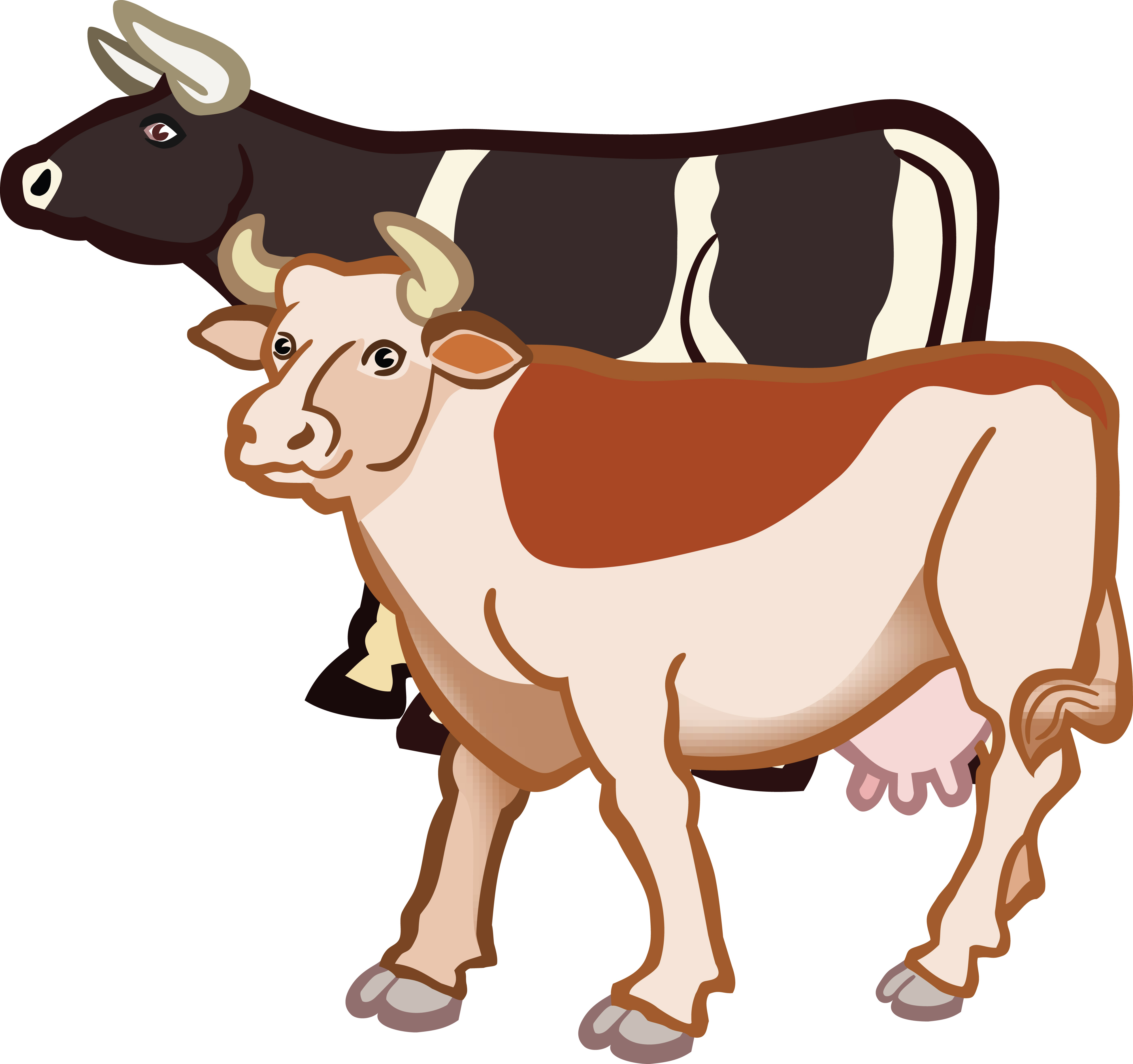 4000x3755 Clipart Of A Pair Of Cows