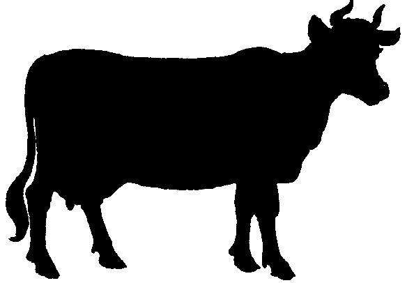 584x406 Cow Silhouette Clip Art