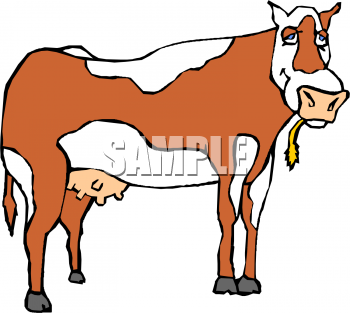 350x313 Royalty Free Cow Clip Art, Farm Animal Clipart