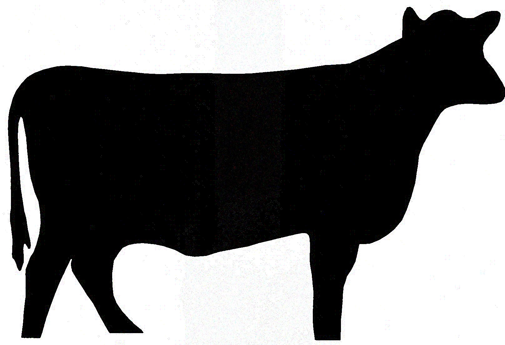 1616x1104 Cattle Clipart Silhouette