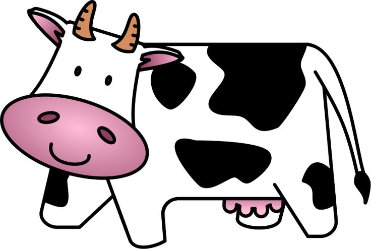 736x494 Cow Cartoon Clipart Cow Baby Cartoon Free