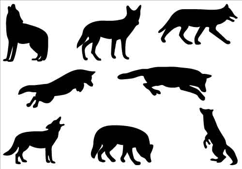 500x350 Coyote Silhouette Clip Art Clipart Panda