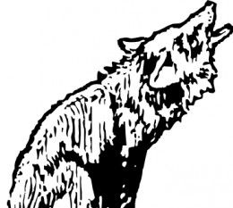 Coyote Clipart Black And White | Free download on ClipArtMag