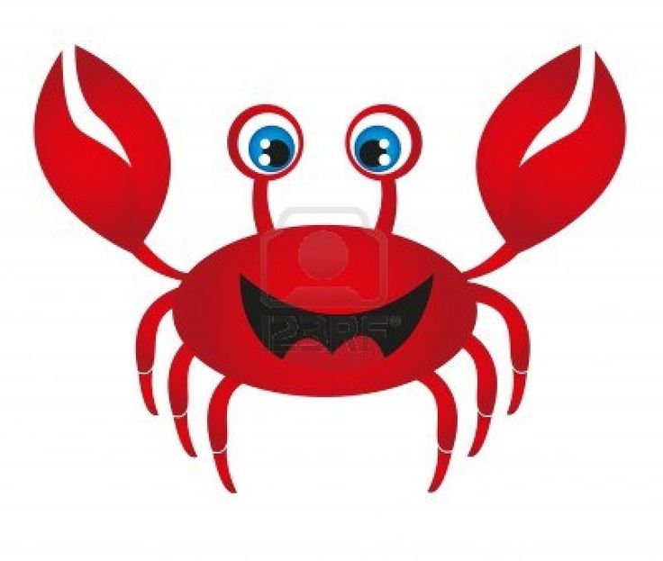 736x623 Best Crab Cartoon Ideas Crustacean Crab Image