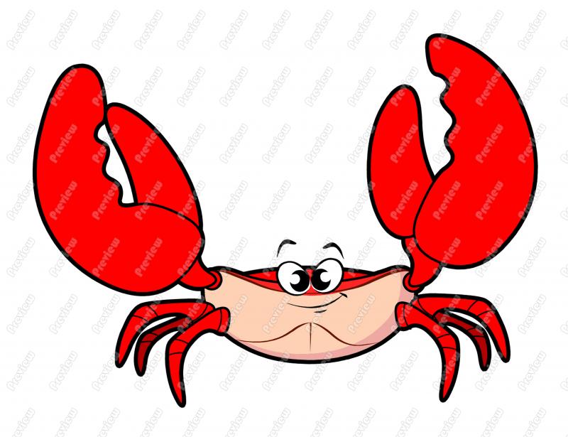 800x615 Crab Clipart Realistic