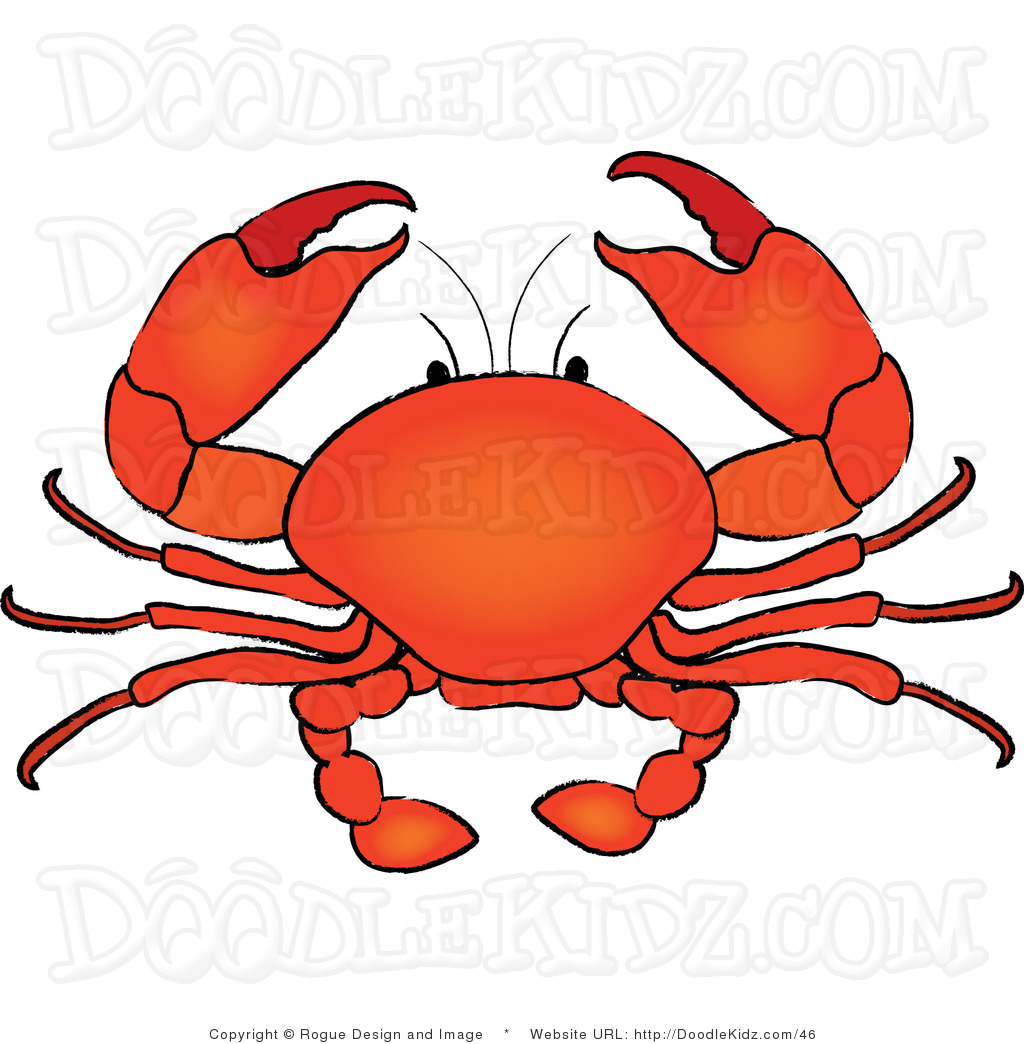 1024x1044 Drawn Crab Fish