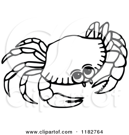450x470 Crab Clipart Sketch