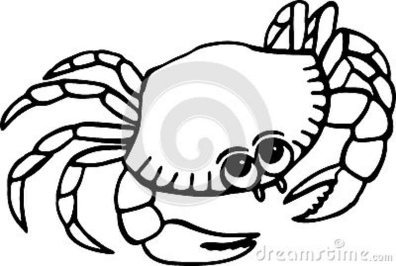 800x538 Monochrome Clipart Crab