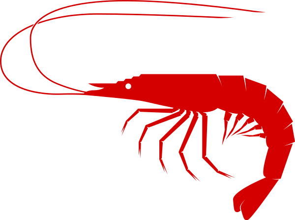 600x447 Crab Download Seafood Clip Art Free Clipart Of Fish Bass Shrimp 3